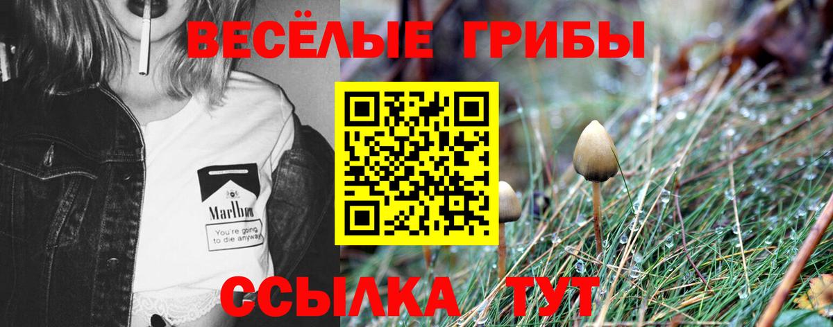 Псилоцибиновые грибы Psilocybine cubensis  Вход с VPN  Кстово 